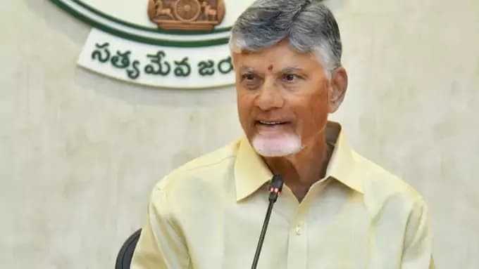 స్థానిక ఎన్నికలకు సిద్ధం: చంద్రబాబు