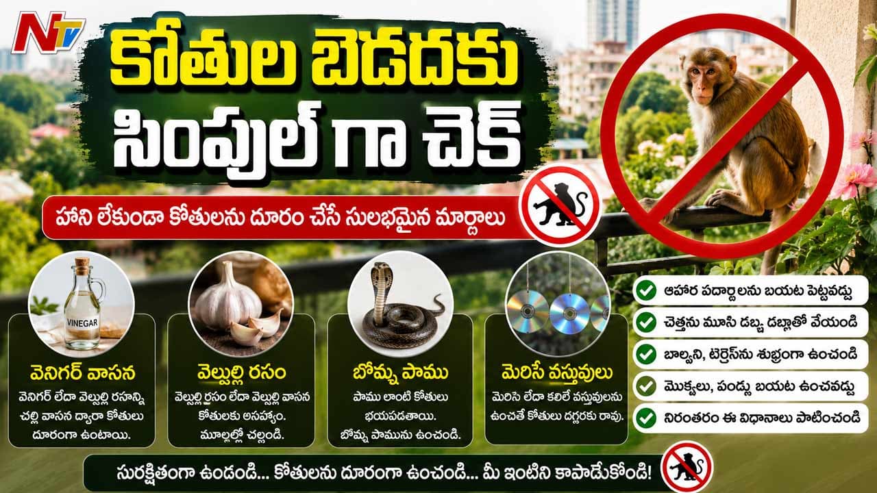 కోతులు ఇబ్బంది పెడుతున్నాయా..? శాశ్వతంగా తరిమికొట్టే అద్భుతమైన చిట్కాలు