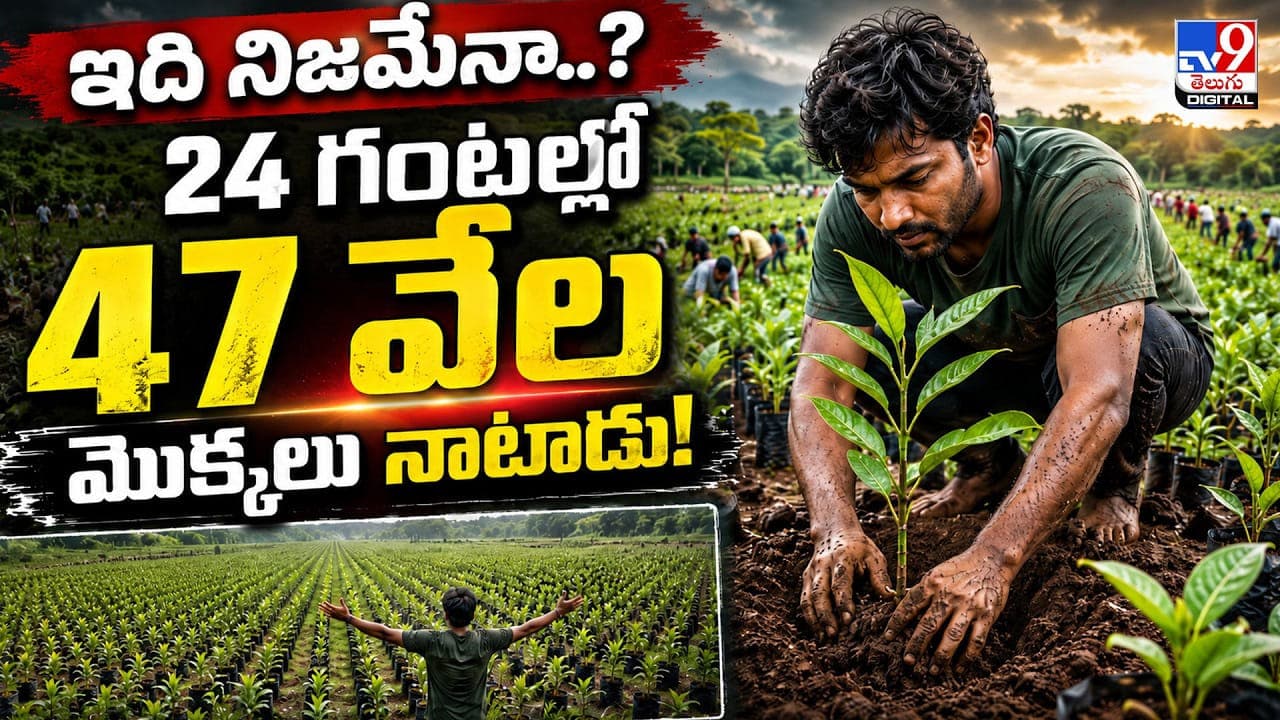 గంటల్లో 47,460 మొక్కలు!.. ప్రకృతి కోసం గిన్నిస్ రికార్డు సృష్టించిన పర్యావరణ యోధుడు