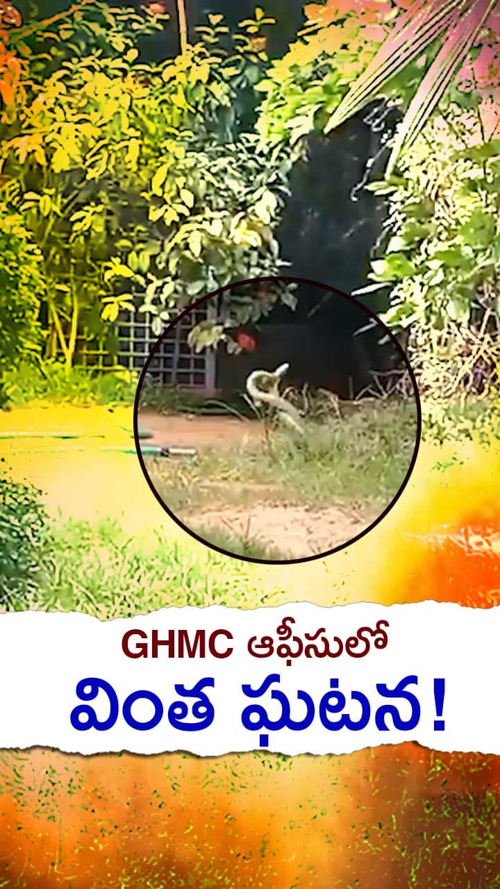 జీహెచ్ ఎంసీ ఆఫీసులో వింత ఘటన