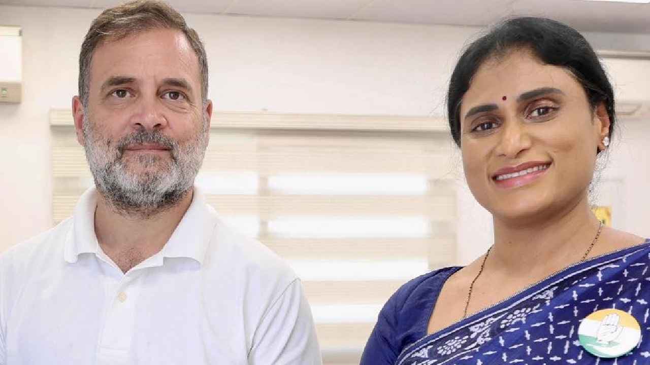 పెద్దల సభకు షర్మిల? ఇందులో నిజమెంత, కర్ణాటక నుంచే ఎందుకు