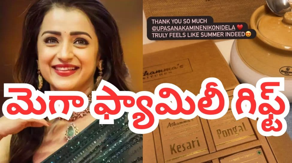 త్రిషకు మెగా ఫ్యామిలీ నుంచి సమ్మర్ స్పెషల్ సర్ ప్రైజ్.. విజయ్ రూమర్ల మధ్య వైరల్ పోస్ట్
