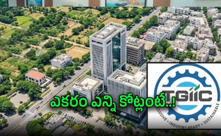 భూములు బంగారం.. కొండలకే కోట్లు