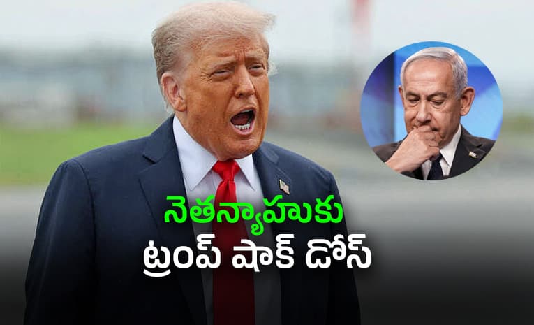 నువ్వో పిచ్చోడివి! నేనే గనుక లేకుంటే