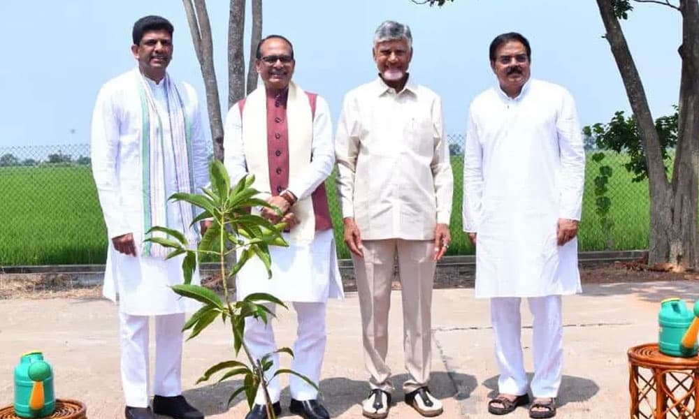 బాబుకు మొదట గుర్తొచ్చె మంత్రి ఆయనేనట ! – movies