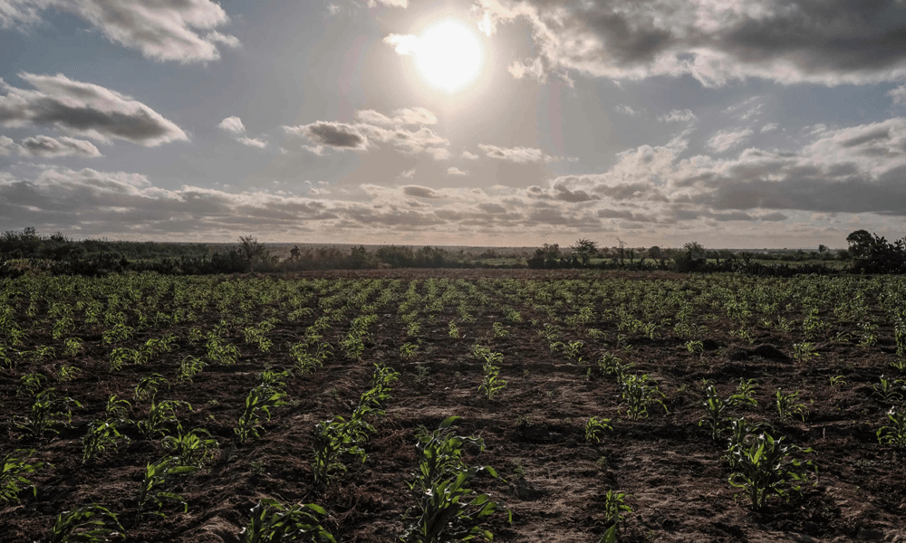 సూపర్ డూపర్ ఎల్ నినో....భూగోళం మంటెక్కించేలా ! – movies
