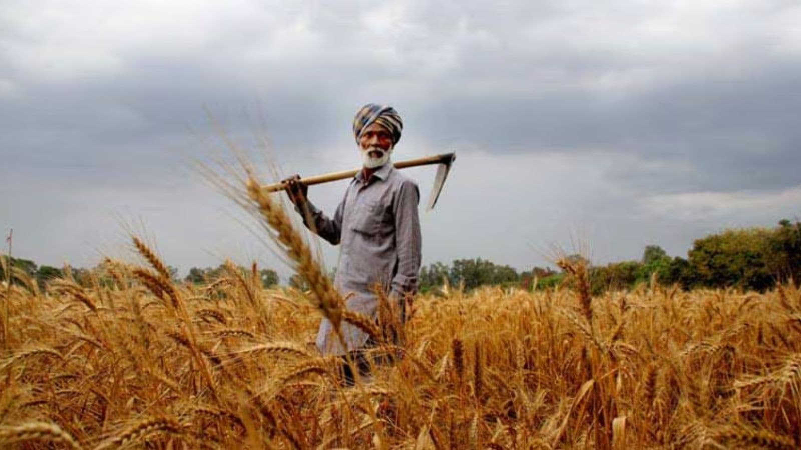 Maharashtra Farm Loan Waiver Opposition Reaction Devendra Fadnavis