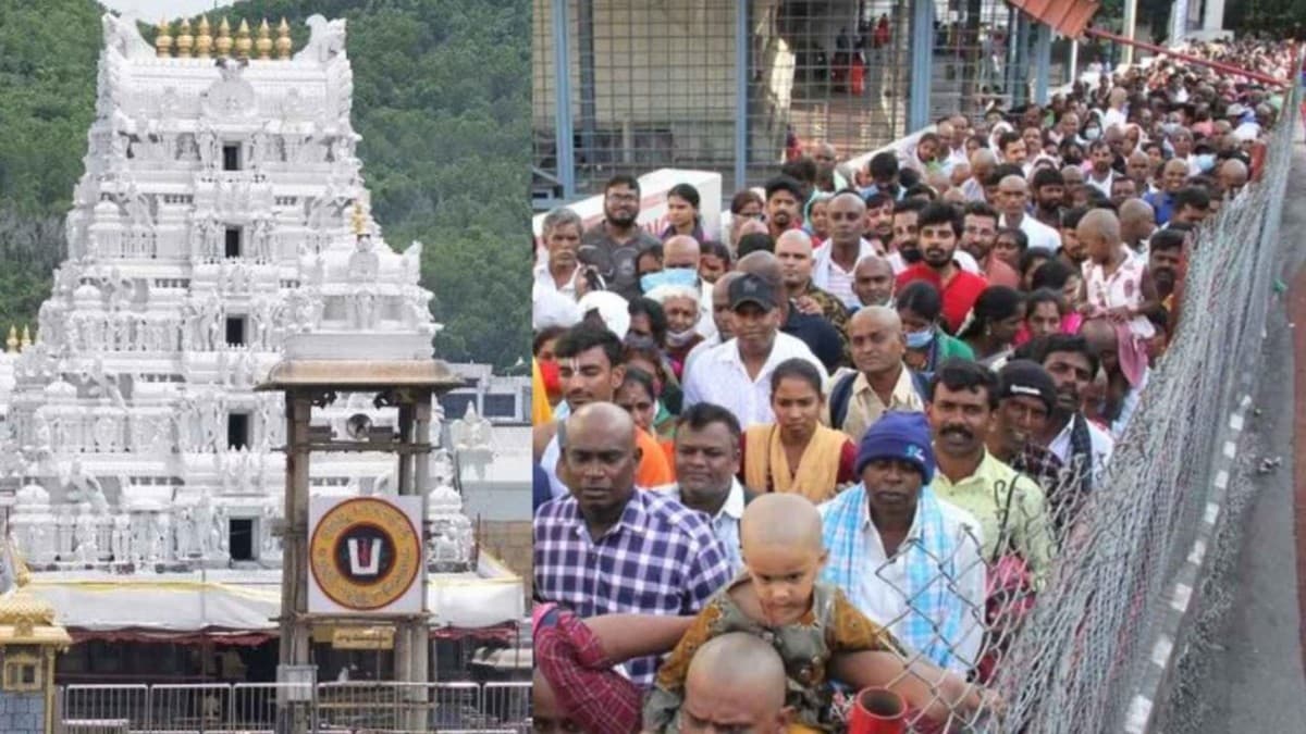 అరుదైన అవకాశం - సర్వదర్శన భక్తులకు తోమాల సేవలో శ్రీవారి దర్శనం