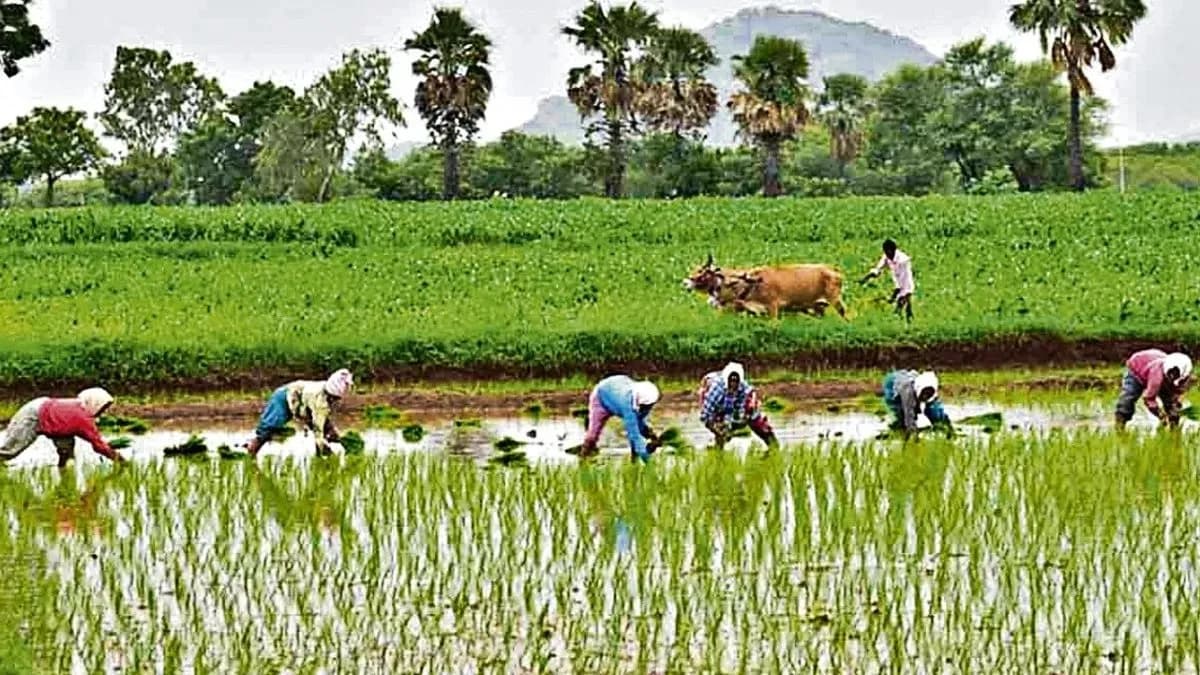 ఎల్నినో ప్రభావం వేళ రైతుల రుణాల పై కీలక నిర్ణయం, బిగ్ రిలీఫ్..!! – general