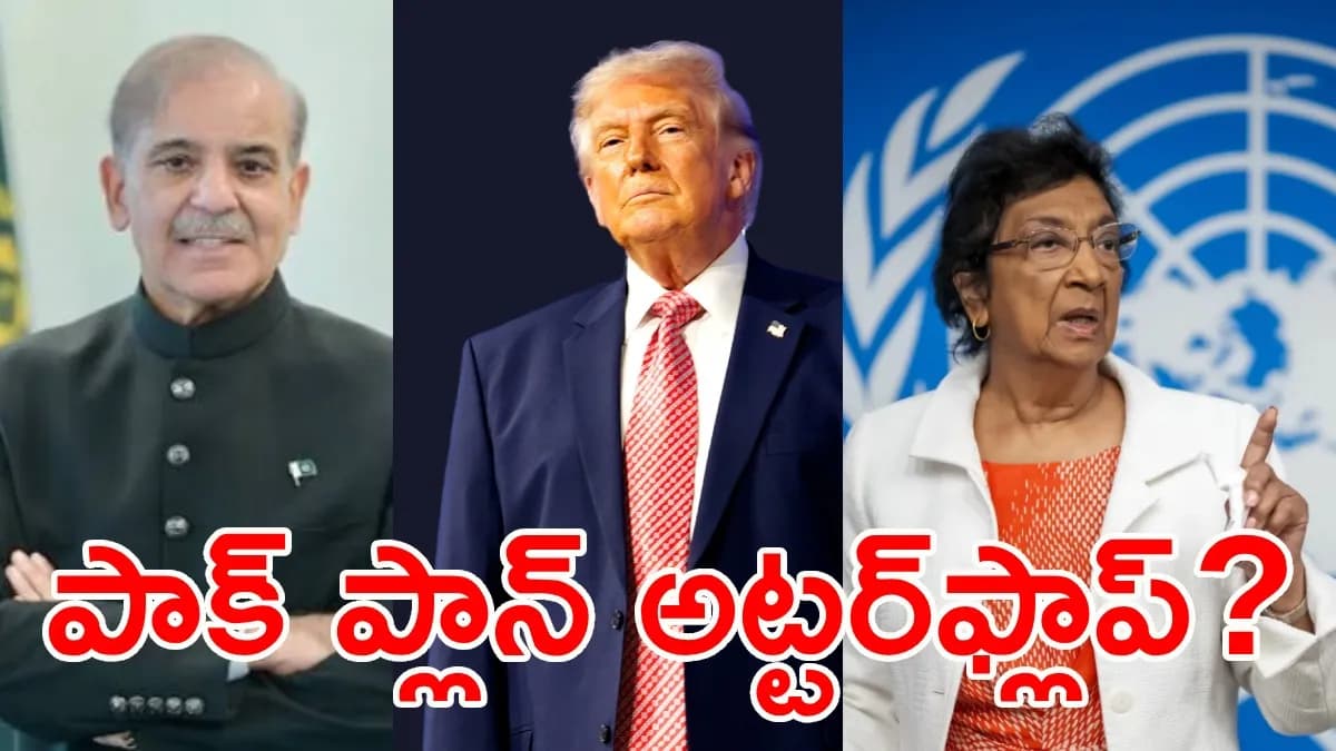 పాక్ ప్రధాని బిస్కెట్ వేసినా పడని నోబెల్ కమిటీ.. భంగపడ్డ డొనాల్డ్ ట్రంప్! పాక్ ప్రధాని బిస్కెట్ వేసినా పడని నోబెల్ కమిటీ.. భంగపడ్డ డొనాల్డ్ ట్రంప్!