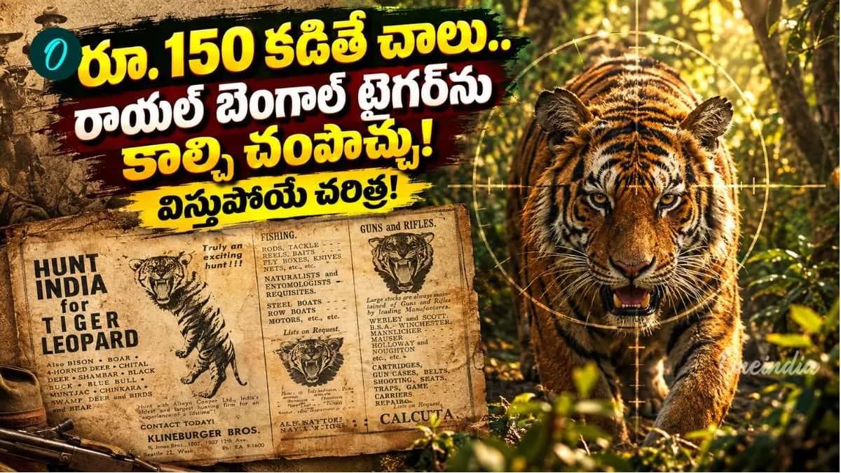 డాలర్ల కోసం పులుల్ని చంపుకున్నాం! యాడ్స్ ఇచ్చి మరీ పులి వేట.. ఇందిరా గాంధీ ఆర్డర్స్..? – general