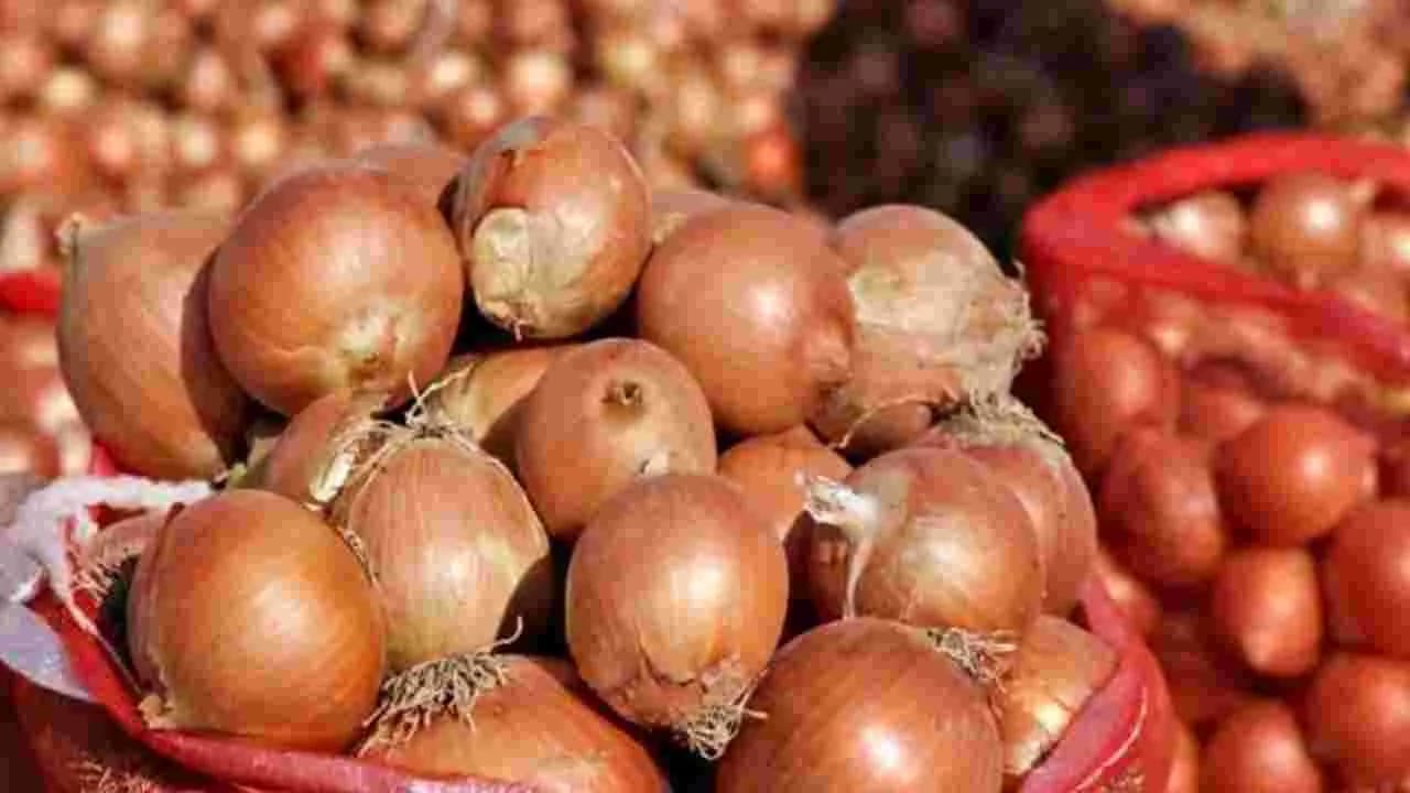 ఉల్లిగడ్డల సేకరణ ధర రూ.15.80కు పెంపు