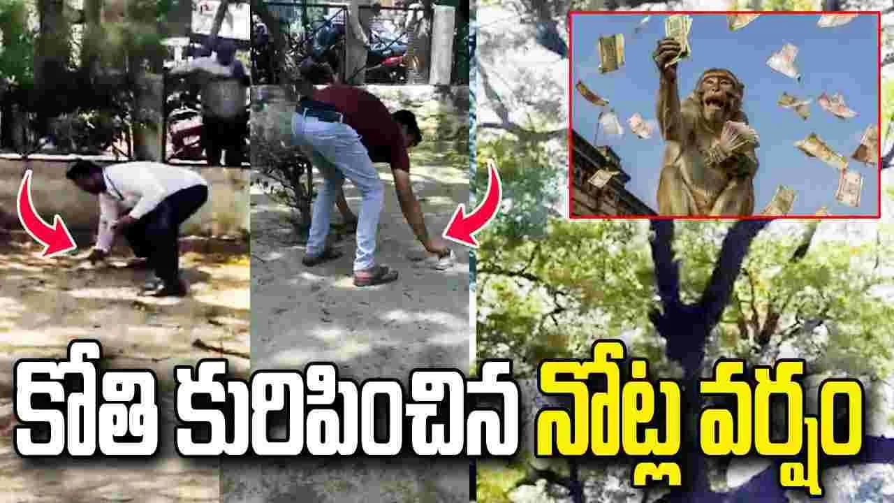 చెట్టుపై నుంచి నోట్ల వర్షం కురిపించిన కోతి.. వీడియో వైరల్
