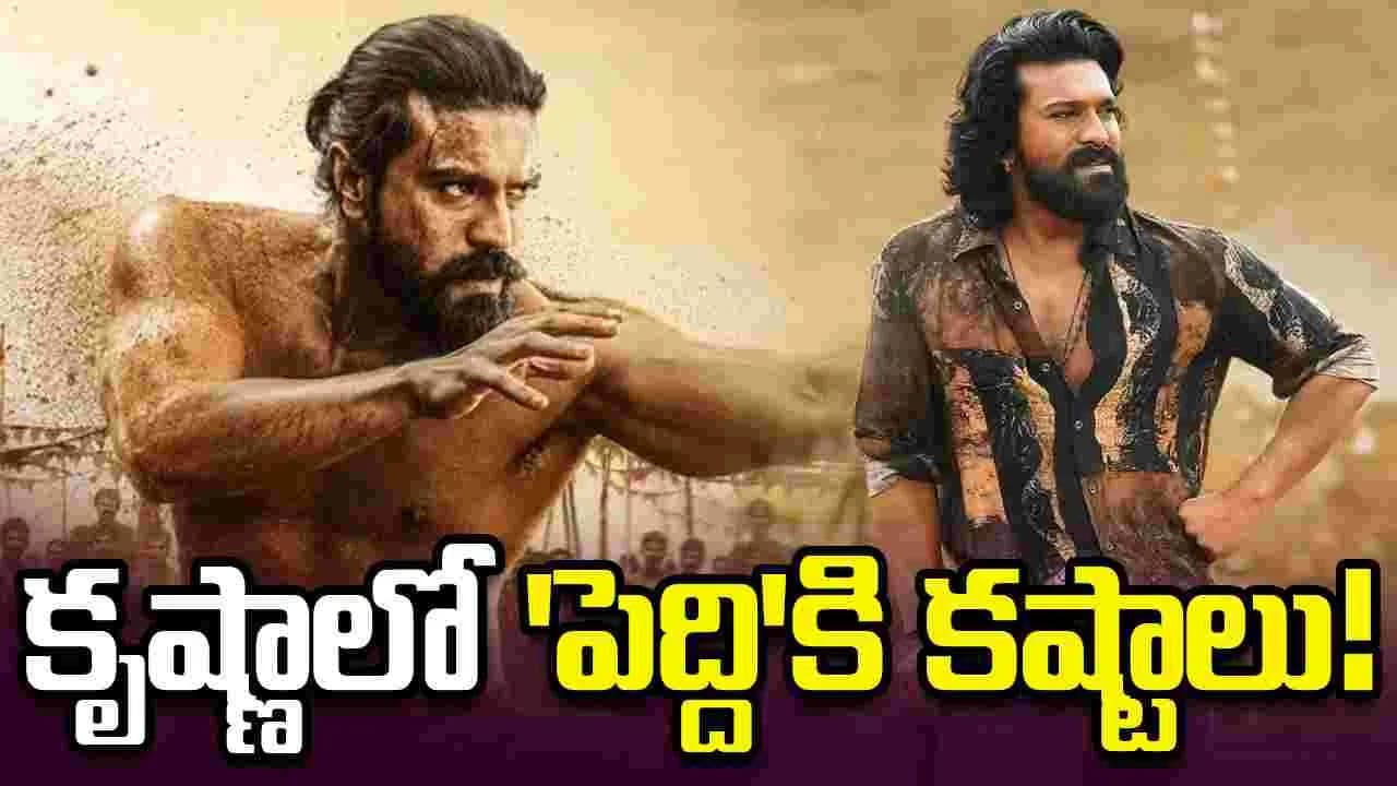 ఛాంబర్ నిర్ణయానికి ఉషాపిక్చర్స్ తూట్లు