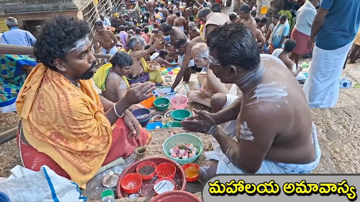 పితృ పక్షానికి ముగింపు పలికే మహాలయ అమావాస్య- ఆ రోజు తప్పక చేయాల్సిన పనులు ఇవే! పితృ పక్షానికి ముగింపు పలికే మహాలయ అమావాస్య- ఆ రోజు తప్పక చేయాల్సిన పనులు ఇవే!