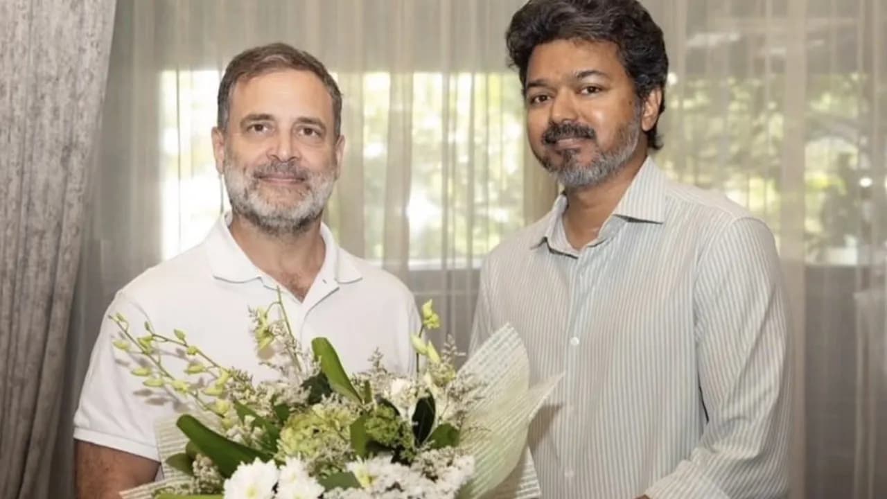 కాఫీ తాగుతూ కేఫ్లో రాహుల్ గాంధీ, సీఎం విజయ్ ముచ్చట్లు – general