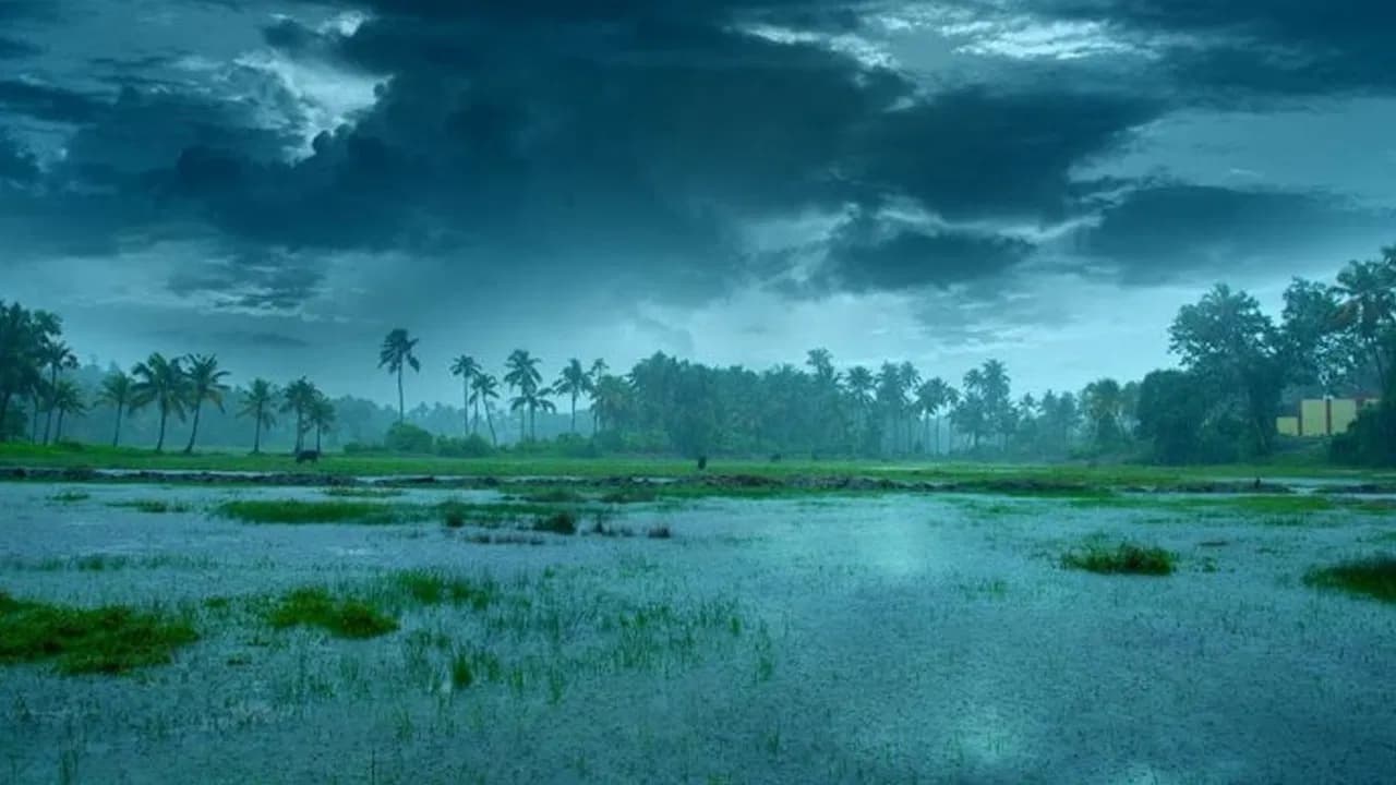 తెలంగాణకు రెండ్రోజుల్లో రుతుపవనాలు.. నేడు, రేపు ఈ జిల్లాల్లో దంచికొట్టనున్న వానలు.. అలర్ట్ జారీ