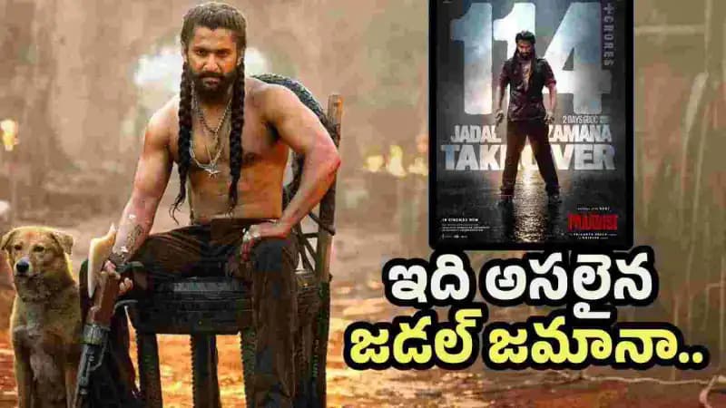 నెగిటివ్ టాక్తో ‘ది ప్యారడైజ్’కి విపరీతమైన స్పందన! నెగిటివ్ టాక్తో ‘ది ప్యారడైజ్’కి విపరీతమైన స్పందన!