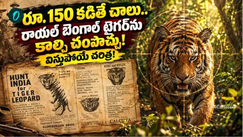 ఇందిరా గాంధీ ఆర్డర్స్: పులుల వేటపై సంచలనం! ఇందిరా గాంధీ ఆర్డర్స్: పులుల వేటపై సంచలనం!