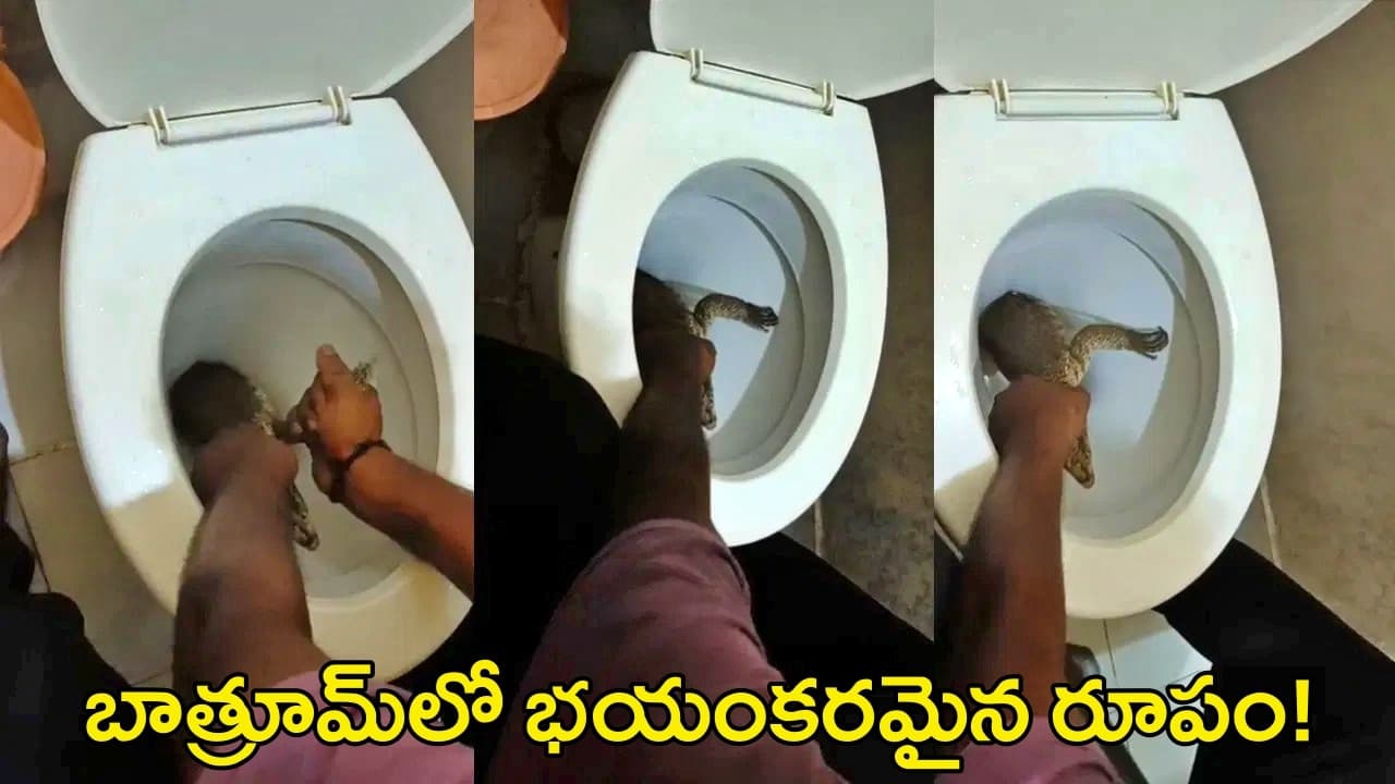 వైజాగ్ లో ఒళ్లు గగుర్పొడిచే ఘటన..బాత్రూమ్ లో భయంకరమైన చప్పుళ్లు..కమోడ్ తెరిచి చూస్తే ఘోరం