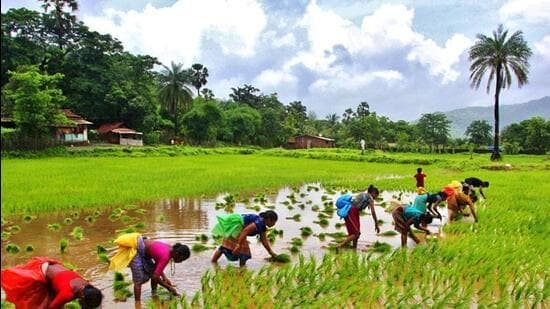 56 Mn Farmers To Benefit From 36k Cr Loan Waiver