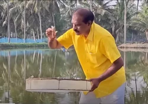 రైతు బిడ్డగా మరోసారి నిరూపించిన మంత్రి నిమ్మల రామానాయుడు